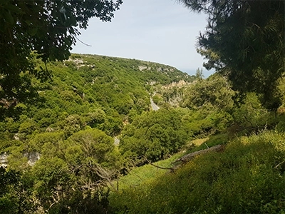 Crete Arkadi Monastery scenic road landscape