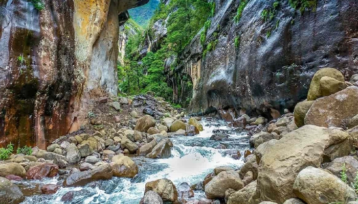 Imbros Gorge stream trees rocks clear water Crete