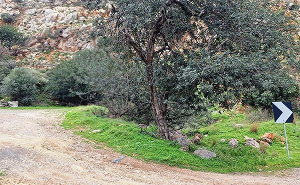 non-asphalt-road-crete-not-for-cars