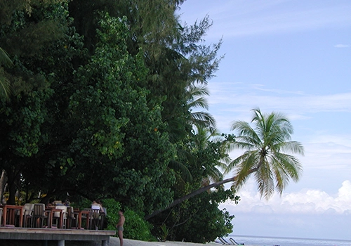 Palm Beach Maldives Ikuru Island tropical resort