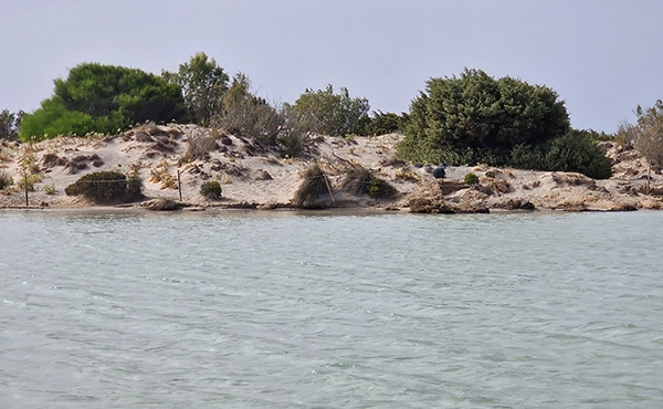 Elafonisi lagoon with sand dunes and coastal vegetation Crete
