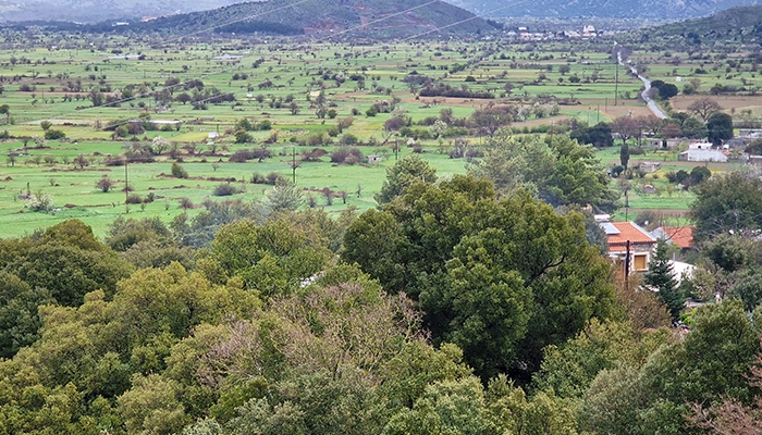 Lassithi Plateau landscape during Knossos and Zeus Cave excursion in Crete with Car and Travel